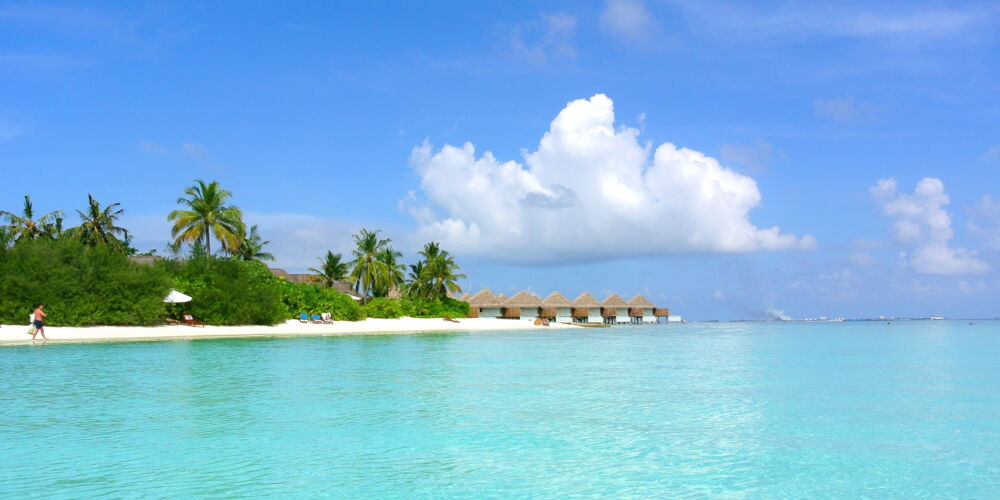 maldives-coconut-tree-sea-resort-summer-holiday-3.jpg