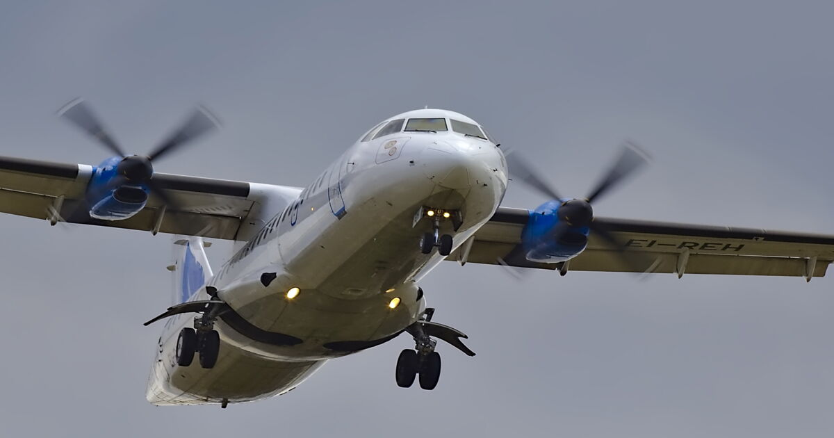 Die Grune Airline Geht An Den Start Travelnews Ch